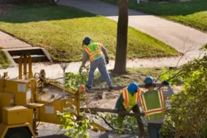 Parker-tree-service
