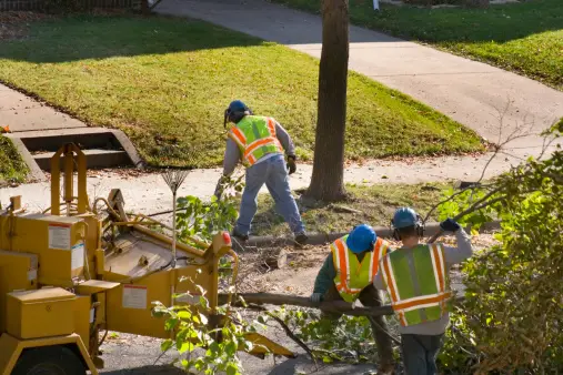 Parker-tree-service